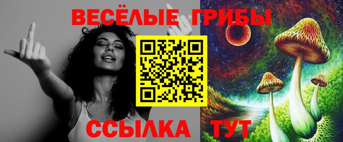 Галлюциногенные грибы мицелий  Вход с VPN  Амурск 